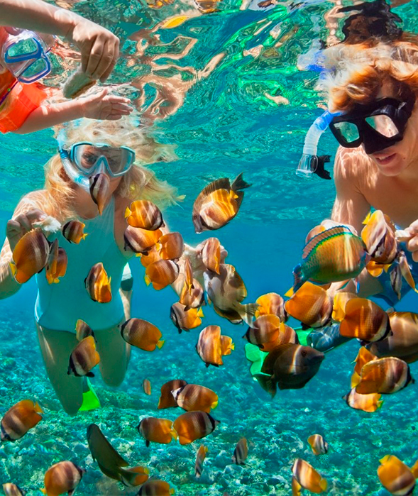 Kids snorkeling